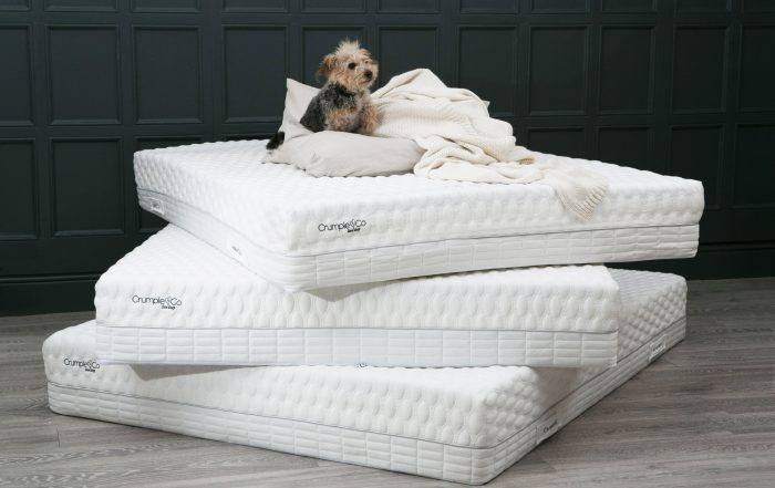 Crumple and Co Mattress - Tiggy shot